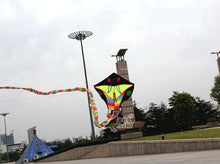 Load image into Gallery viewer, HengDa huge classic 15m/30m snake kite
