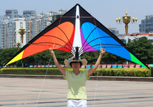 Load image into Gallery viewer, dual line stunt kite-Lingyan
