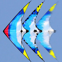 Load image into Gallery viewer, 48inch dual line stunt kite-feiyu
