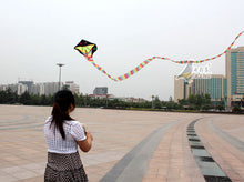 Load image into Gallery viewer, HengDa huge classic 15m/30m snake kite
