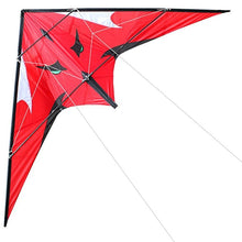 Load image into Gallery viewer, dual line stunt kite-Sea monster
