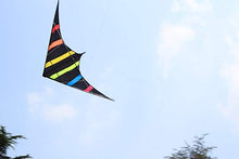 Load image into Gallery viewer, dual line stunt kite-Aurora

