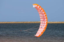 Load image into Gallery viewer, Dual line power kite-bird
