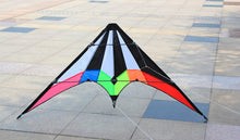 Load image into Gallery viewer, dual line stunt kite-Lightning
