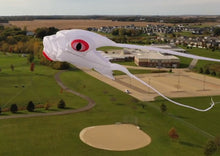 Load image into Gallery viewer, new 2sqm white nylon trilobite kite

