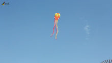 Load and play video in Gallery viewer, best selling 5m octopus kite
