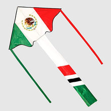 Load image into Gallery viewer, customize delta flag kite with long tails
