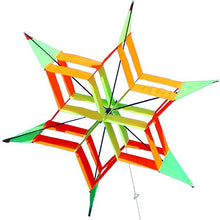 Load image into Gallery viewer, new 3D lotus kite for kids
